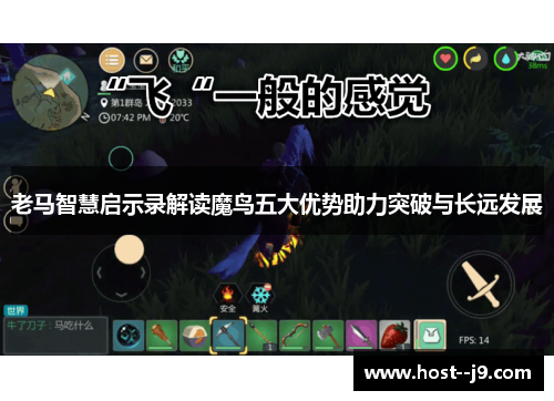 老马智慧启示录解读魔鸟五大优势助力突破与长远发展 老马智慧启示录解读魔鸟五大优势助力突破与长远发展